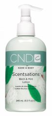 Scentsations Birch & Mint Lotion 245 мл