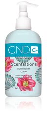 Scentsations Dune Flower Lotion 245 мл