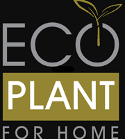 Ecoplant