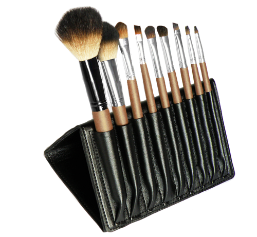 Case For Makeup Brushes