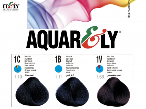 Aquarely Permanent Hair Color Cream 1C 100 мл