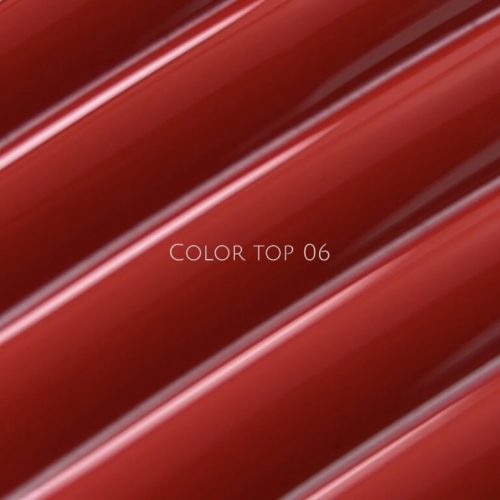 Color Top №06 10 мл