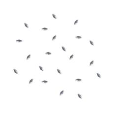 Rhinestones №08