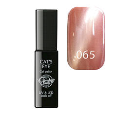 Gel Polish Cats eye №65 8мол