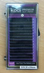 Curved Eyelashes D 0.20 (16 rows: 10мм) Purple Package