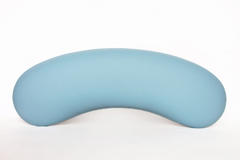 Armrest Horseshoe Sky blue