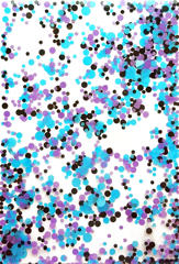 Confetti-Camifubuki №7