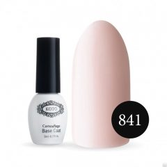 Camouflage Base №841 5мол