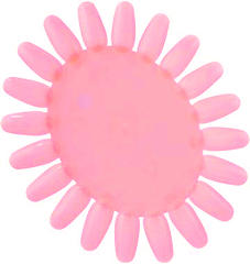 Oval Palette Pink 20