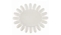 Palette For Demonstrating Nail-polish (20 tips)