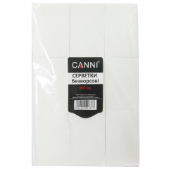 Lint-Free Wipes 500 шт