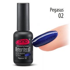 UV/LED Magnetic Gel Polish 02 Meteorites 9D Pegasus