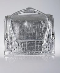 Professional Case Silver