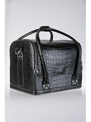 Professional Case Black