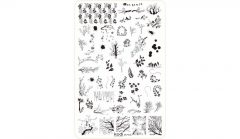 Stamping Plate Plus Size №06