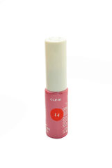Gel Polish Paint 14 12 мл