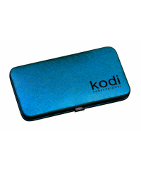 Case for TweezersBlue