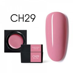 Color Mud Gel CH29 5 мл