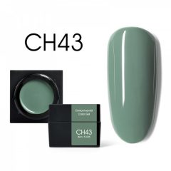 Color Mud Gel CH43 5 мл
