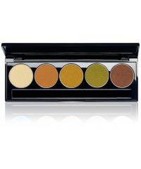 Набір тіней Е 5/08