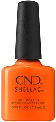 Shellac Popsicle Picnic 7,3 мл
