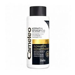 Cameleo Shampoo Anti Damage 50 мл