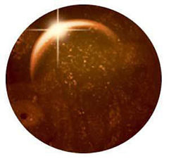 Soak Off Gel 21 & over 7 г