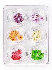 Nail Art Dry Flowers in Box 6 in 1