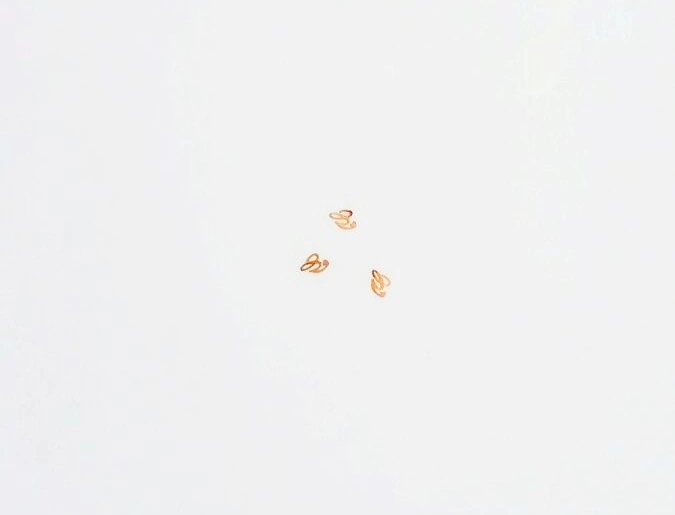 Стрази №04 Спляча квітка Naomi Rhinestones №04