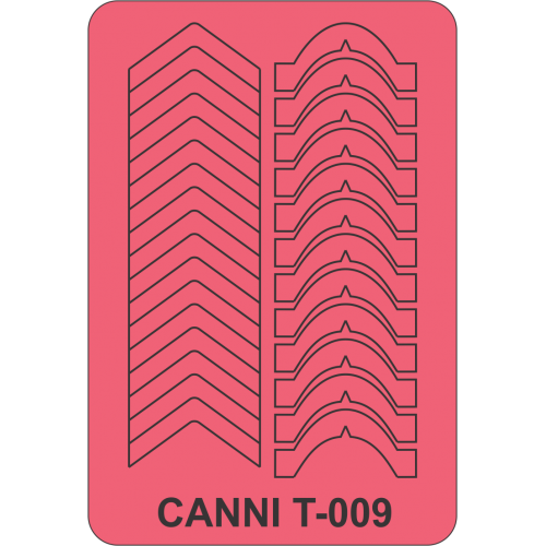 Трафарет для нігтів Canni Pattern T-009 асорті