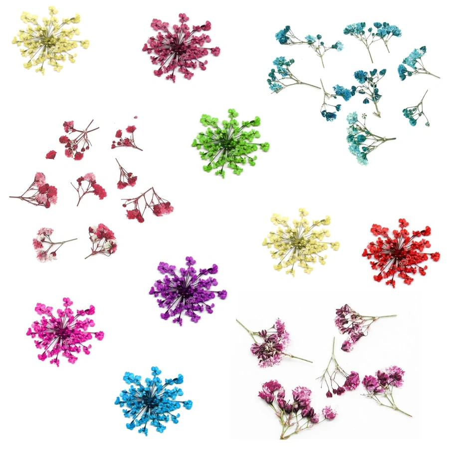 Сухоцвіти для дизайну нігтів YRE Nail Art Dry Flowers 12 in 1