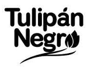 Tulipan Negro